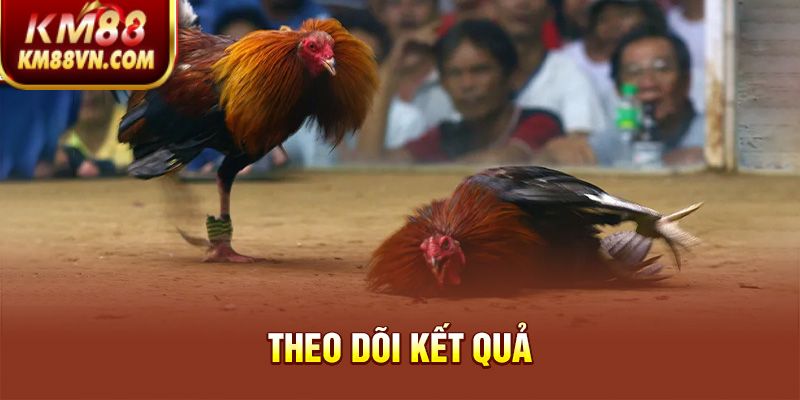 Theo dõi kết quả